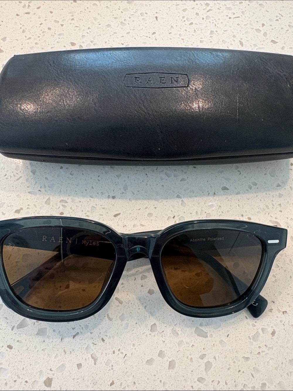 RAEN Myles Sunglasses Black Frame with Brown Lenses